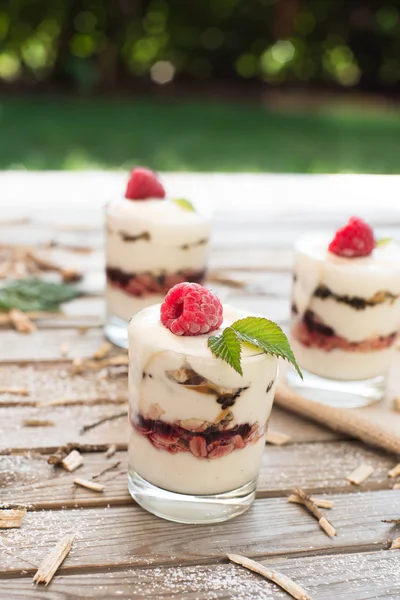 Postre congelado con frambuesas y copos de avena. Desayuno saludable —  Fotos de Stock