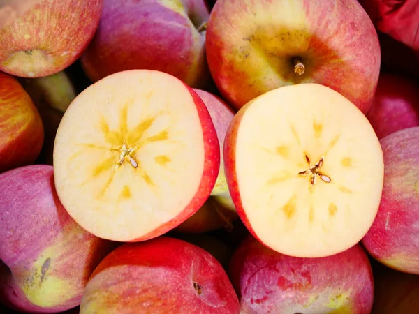 Pommes Mûres Rouges Dans Panier Sous Pommier Cueillette — Photo