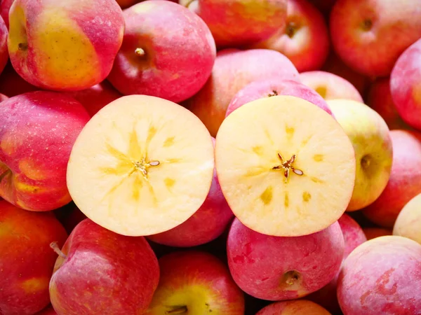 Pommes Mûres Rouges Dans Panier Sous Pommier Cueillette — Photo