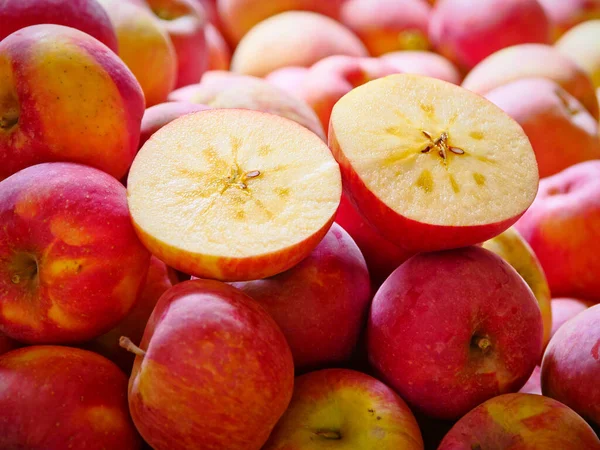 Pommes Mûres Rouges Dans Panier Sous Pommier Cueillette — Photo