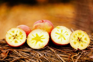 Bahçede taze toplanmış elmalar. Seçici odaklanma. Sığ alan derinliği.