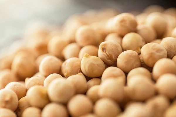 Chickpeas close-up, protein dietary fiber beans