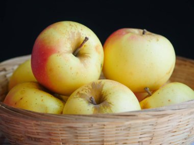 Kazakistan elması, kapalı alanda ateş etme, meyve, güçlü kokulu sarı elma, orijinal çeşitlilik.