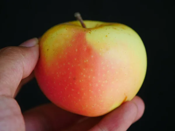 Kasachstan Apfel Indoor Schießen Obst Gelber Apfel Mit Starkem Duft — Stockfoto