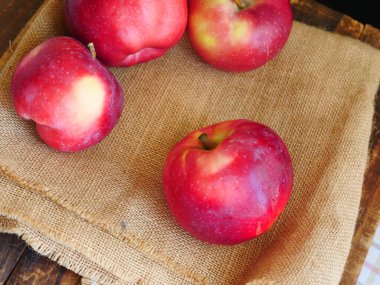 Taze kırmızı elmalar, çuval bezi arka planı, lezzetli ve sulu.