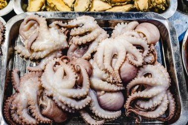 Gurme küçük ahtapot, mutfakta taze canlı deniz ürünleri.