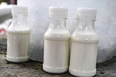 Cam şişelerde taze deve sütü