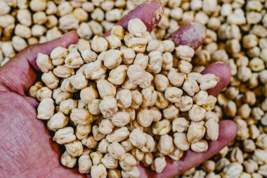 Çiğ nohut, kısmi yakın çekim, kuru, yüksek kalitede besleyici gıdalar.