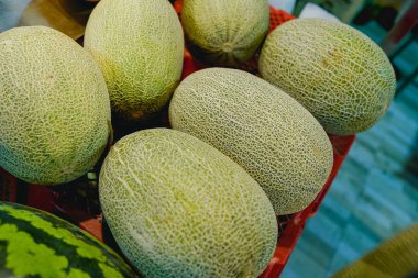 Yaz meyvesi standı kavunu.