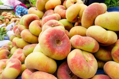 Meyve bahçesinden toplanmış taze taze şeftaliler.