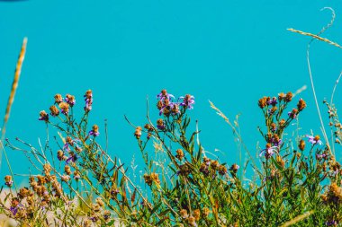 Dağlarla çevrili mavi gölün manzarası