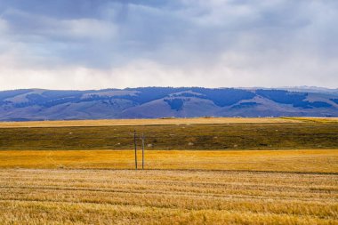 Geniş kırsal alanlar, otlaklar, otlaklar
