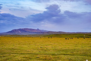 Geniş kırsal alanlar, otlaklar, otlaklar