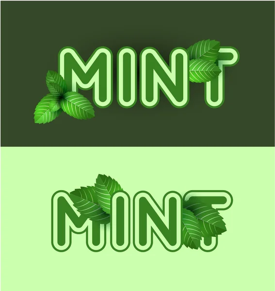 Daun mint segar - Stok Vektor