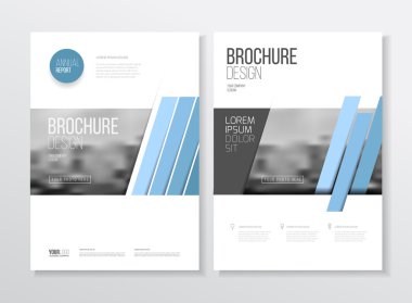 Yıllık rapor broşürü