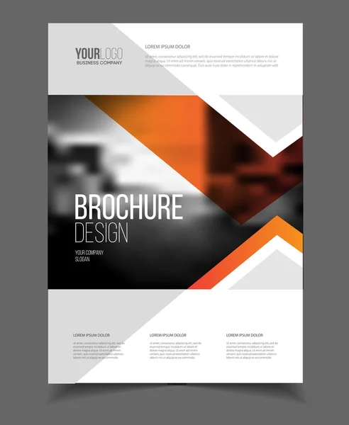 Business brochure design — Stock Vector