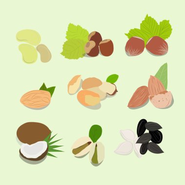 Different Nuts collection clipart