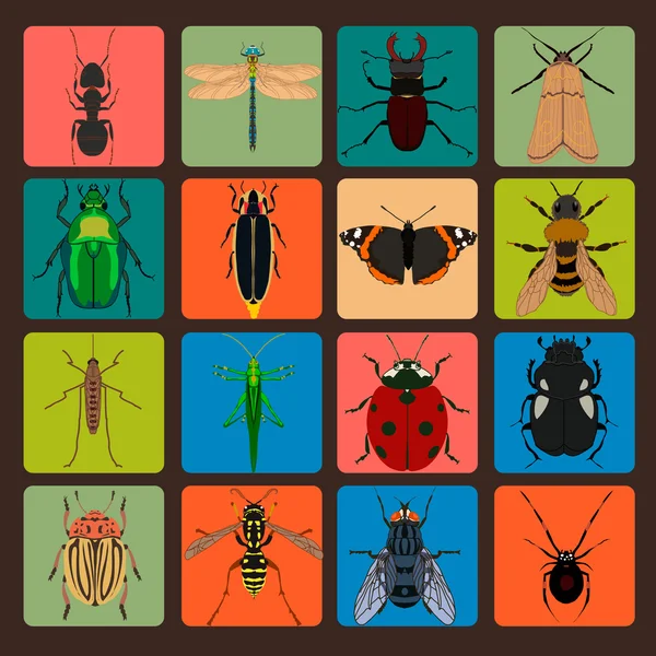 Juego de signos de insectos — Archivo Imágenes Vectoriales