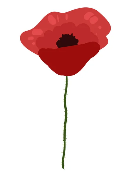 Κόκκινο Λουλούδι Παπαρούνας Διανυσματική Απεικόνιση Απομονώνονται Λευκό Φόντο — Διανυσματικό Αρχείο