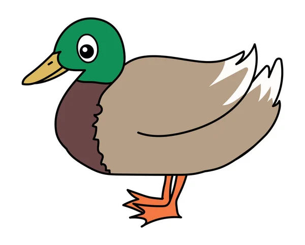 Vektor Illustration Der Niedlichen Cartoon Ente — Stockvektor