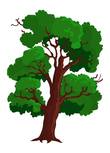 Yapraklı gerçekçi vektör ağacı. Yeşil yapraklı bir bitki. Orman Doğası Eko