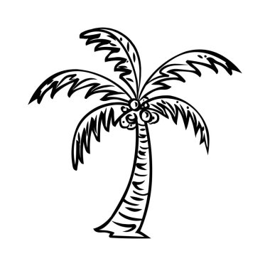 Palm tree line drawing , logo vector illustration clipart