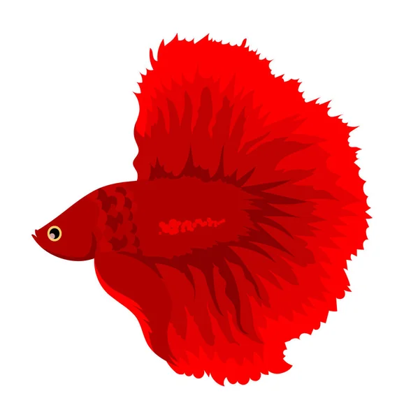 Карикатурная Красная Говядина Сиамская Боевая Рыба Коронованный Хвост Пчелы Белом — стоковый вектор