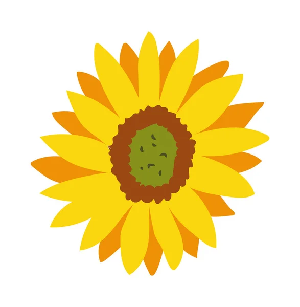 Girasol Flor Aislado Stock Ilustración — Archivo Imágenes Vectoriales