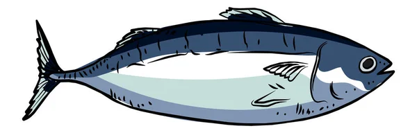 Tonno Pesce Handrawn Illustrazione Vettore Isolato Sfondo Bianco — Vettoriale Stock