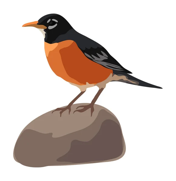 Illustrazione Robin Bird Americano Piedi Una Roccia — Vettoriale Stock