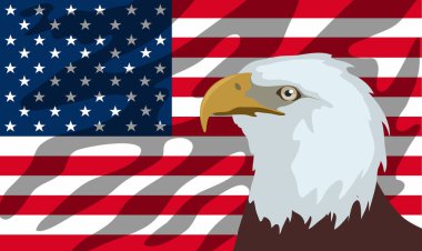  Amerikan bayrağının önünde Amerikan Kel Kartalı 