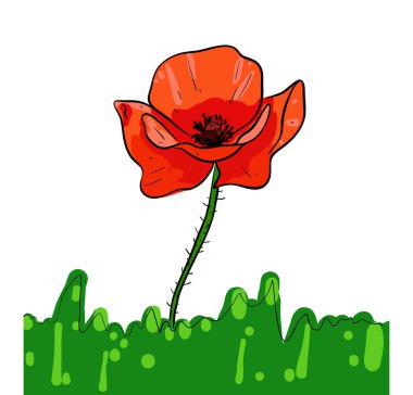 Kırmızı Haşhaş stok illüstrasyon vektörü beyaz arkaplanda izole