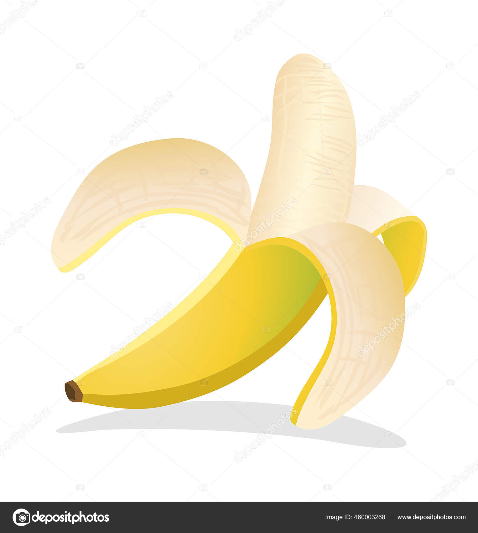 Halb Geschalte Bananen Vektor Illustration Vektor Isoliert Vektorgrafik Lizenzfreie Grafiken C Carrotstudios 460003268 Depositphotos