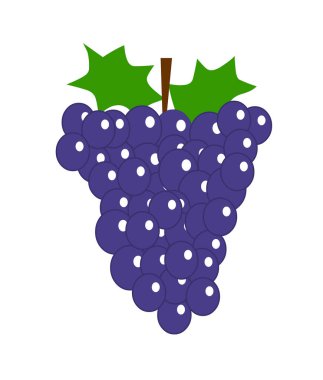 Beyaz arkaplanda izole edilmiş mavi üzüm illüstrasyon vektörü