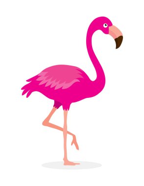 Flamingo Kuş Clipart vektör çizimi beyaz arkaplanda izole edildi