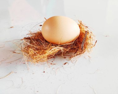 Yuva fotoğrafında yumurta, yuvadaki kahverengi yumurtanın yakın görüntüsü.