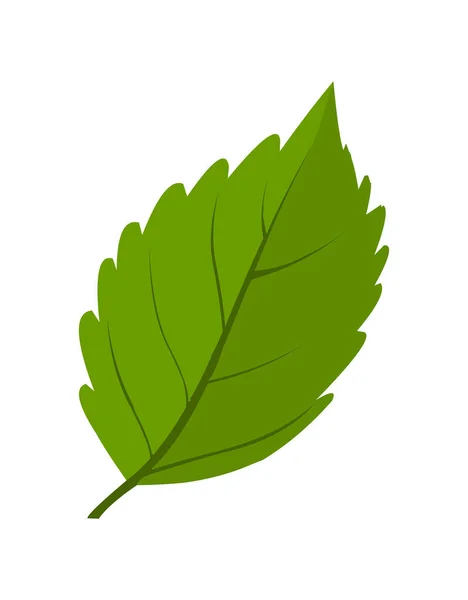 Folha Verde Ilustração Logotipo Ícone Vetor Isolado Fundo Branco — Vetor de Stock