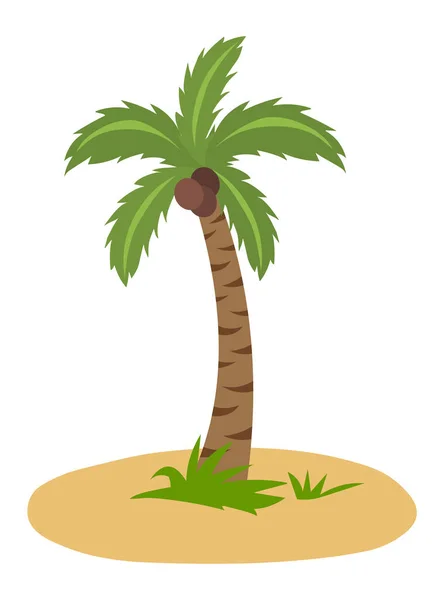 Palmeira Ilustração Vetor Isolado Fundo Branco — Vetor de Stock