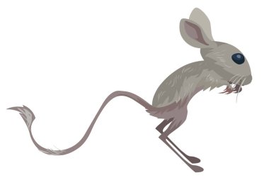 Jerboas çizgi film illüstrasyon vektörü beyaz arkaplanda izole edildi