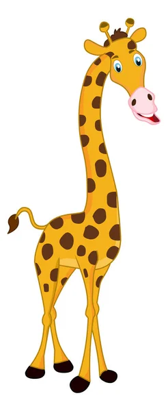 Girafe Sauvage Animal Dessin Animé Vecteur Isolé Sur Fond Blanc — Image vectorielle