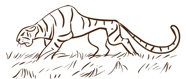 Tigre Caminando Ilustración Vector Aislado Sobre Fondo Blanco — Vector de stock