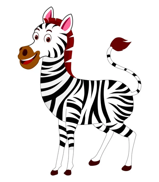 Illustration Vectorielle Dessin Animé Zebra Isolé — Image vectorielle