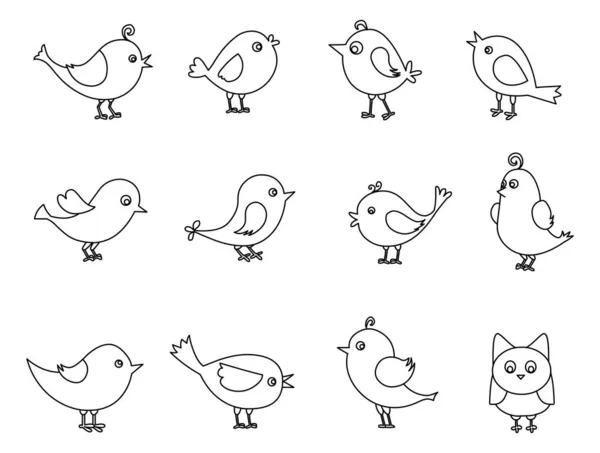 Прекрасные Птицы Устанавливают Вектор Рисования Линии Белом Фоне — стоковый вектор