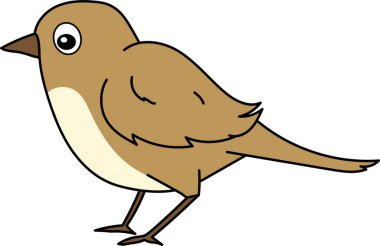 Kuş çizgi film kuş vektörü