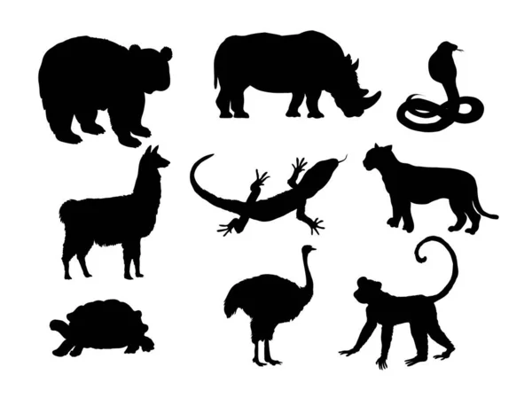 Set Animals Silhouette Lizard Llama Monkey Ostrich Panda Rhinoceros Snake — Stock Vector