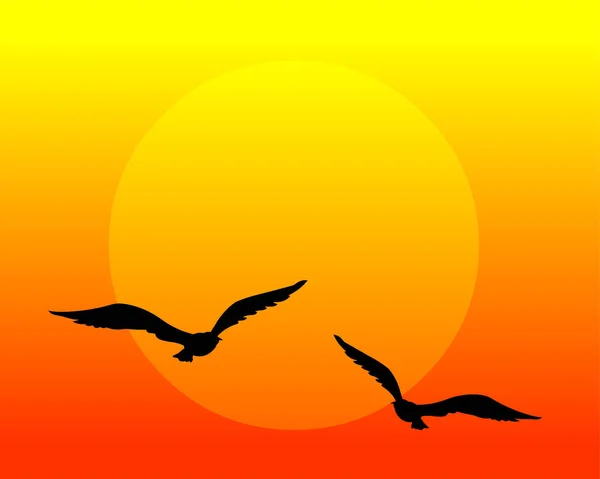 Flying Birds Sunset — Stock Vector