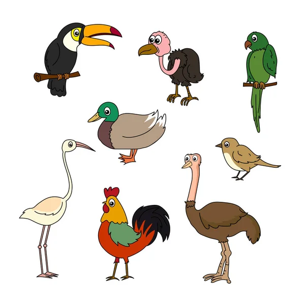 Conjunto Aves Vector Pássaros Desenhos Animados — Vetor de Stock