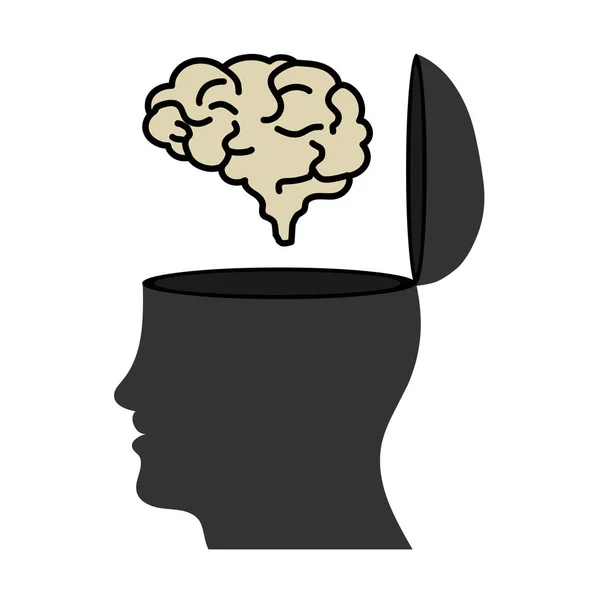 Human Head Open Brain — Stock Vector