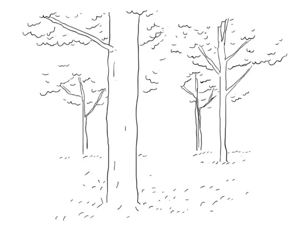 Torest Ağaçları Elle Çizilmiş Resim — Stok Vektör