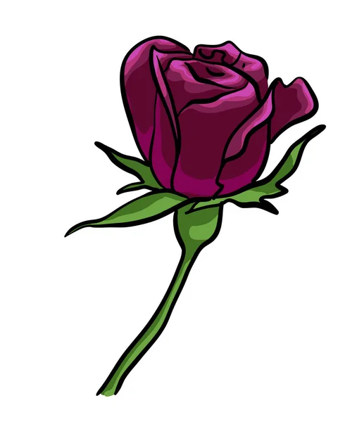 Dark Rose Vector Aislado — Vector de stock